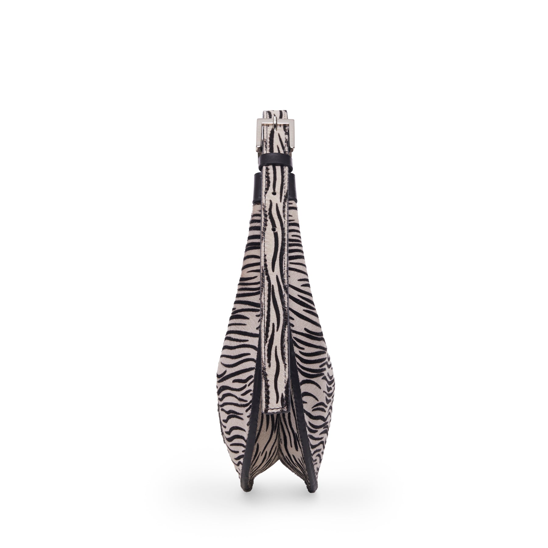 AIDA ZEBRA