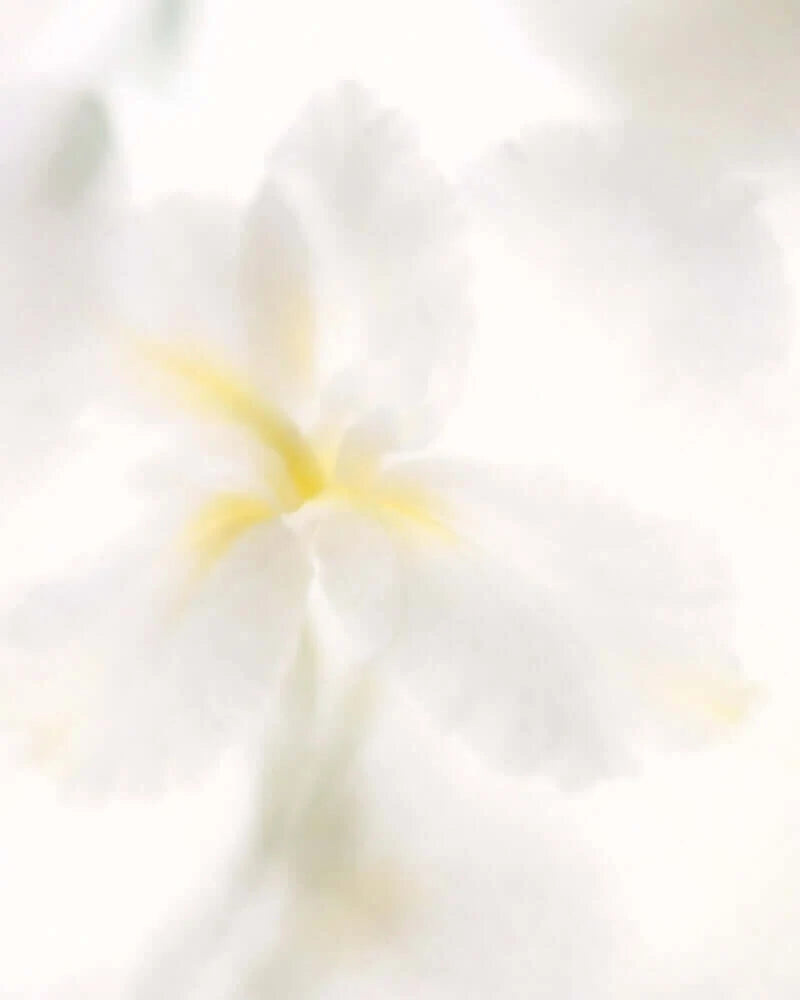 EPILOGY MOLECULE PARFUME