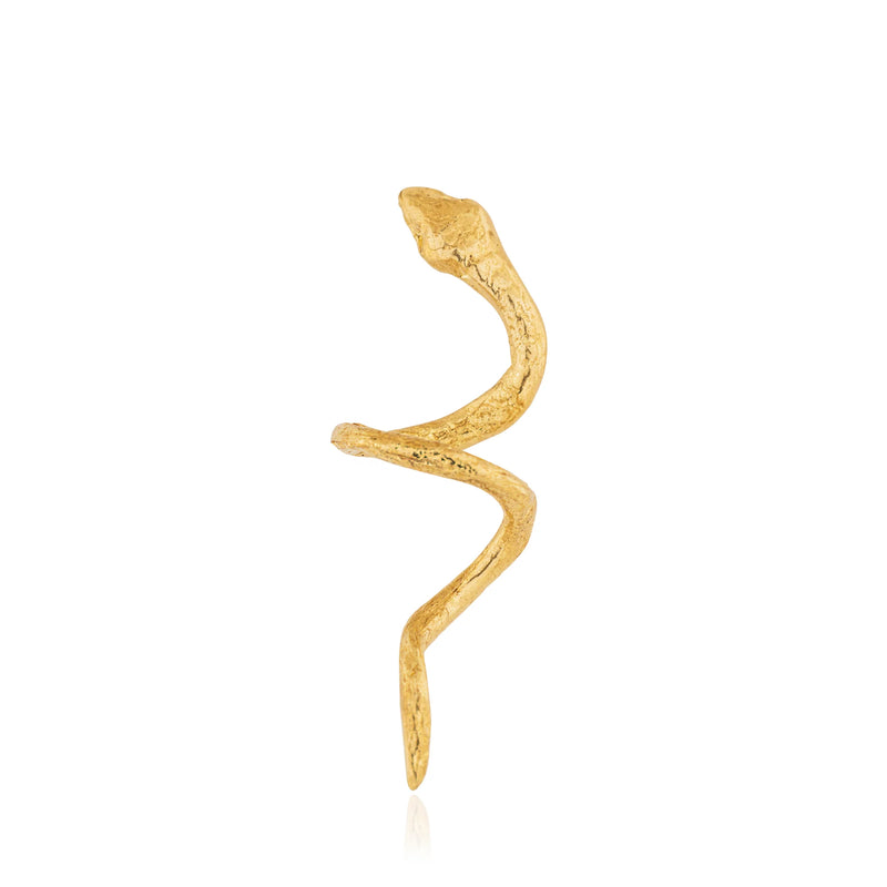 Curled Snake Küpe